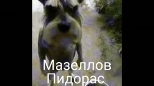 🦶 Стикер «Мазок» для Telegram