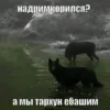 🧃 Эмодзи «они видят» для Telegram