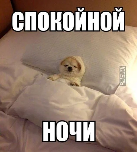 ❤️ Стикер «токсик» для Telegram
