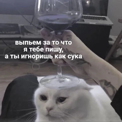 😭 Стикер «токсик» для Telegram