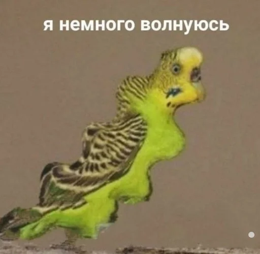😰 Стикер «токсик» для Telegram