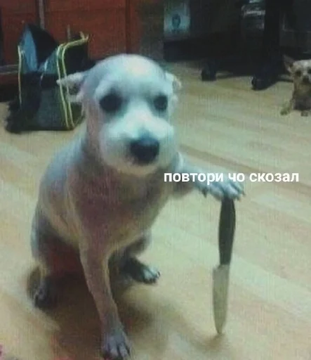 😡 Стикер «токсик» для Telegram