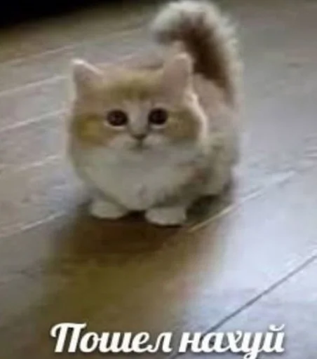 😊 Стикер «токсик» для Telegram