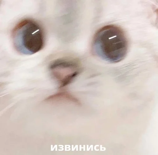 😡 Стикер «токсик» для Telegram