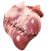 🫀 Эмодзи «meat core» для Telegram