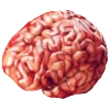 🧠 Эмодзи «meat core» для Telegram