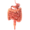 🫀 Эмодзи «meat core» для Telegram