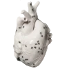 🫀 Эмодзи «meat core» для Telegram