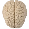 🧠 Эмодзи «meat core» для Telegram