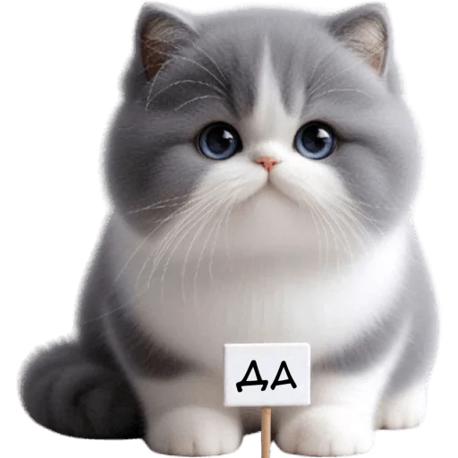 ✅ Стикер «Котик Грей» для Telegram