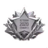 Стикер 10 Standoff2 Medal