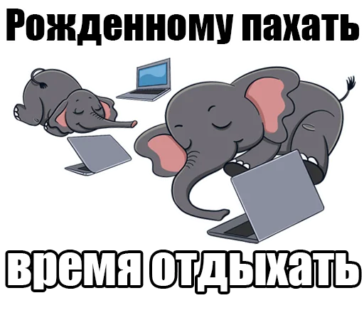 😴 Стикер «Medie4ka» для Telegram