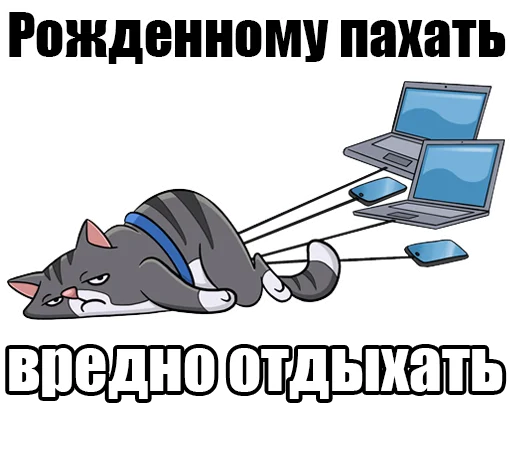 😒 Стикер «Medie4ka» для Telegram