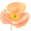 Стикер 8 Цветы Растения Звери