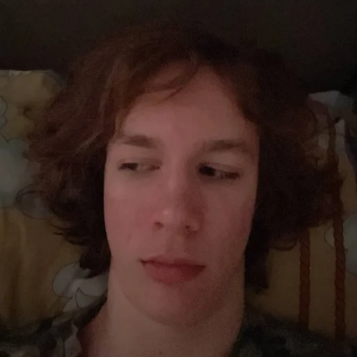 💤 Стикер «медведь наш батя» для Telegram