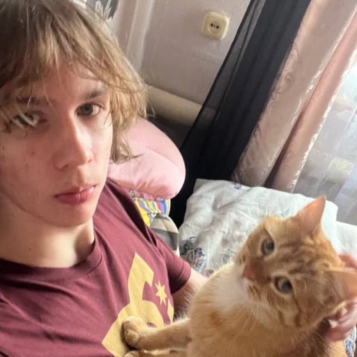 😻 Стикер «медведь наш батя» для Telegram