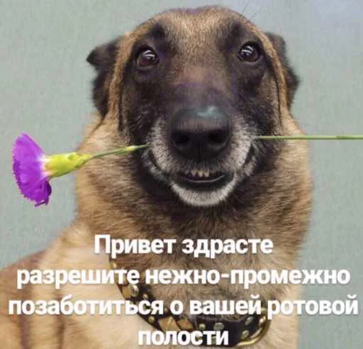 ❤️ Стикер «набор джентельмена» для Telegram