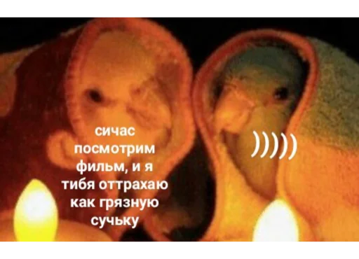 💞 Стикер «набор джентельмена» для Telegram
