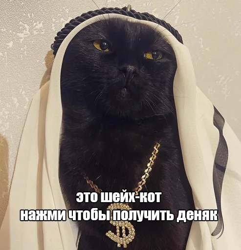 🤑 Стикер «megasotka» для Telegram