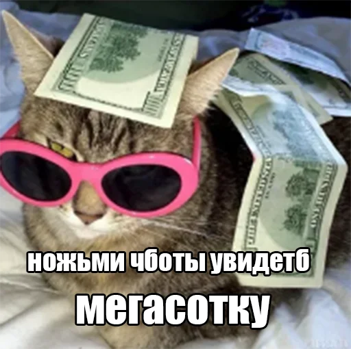 😎 Стикер «megasotka» для Telegram