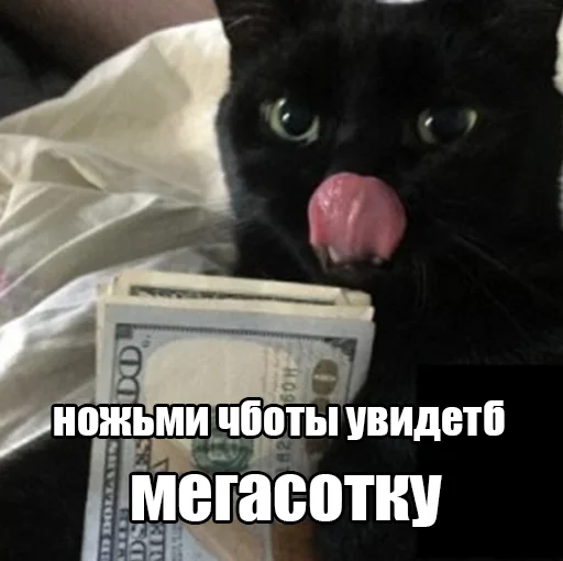 😜 Стикер «megasotka» для Telegram