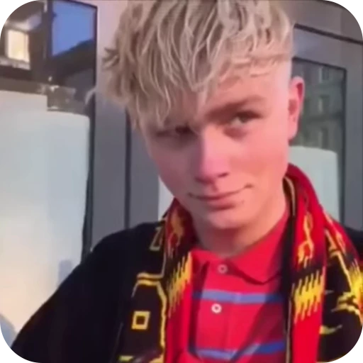 🤨 Стикер «Joost Klein» для Telegram