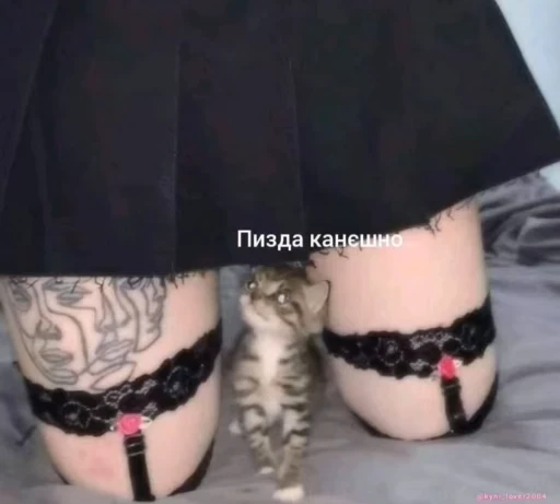 🧐 Стикер «Набор пенька» для Telegram