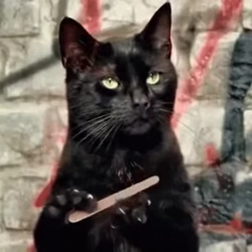 😼 Стикер «? Слушай музыку ?» для Telegram