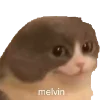 😼 Эмодзи «Melvin» для Telegram