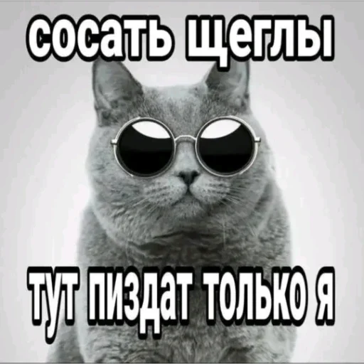 😎 Стикер «мемасики смехуятина» для Telegram