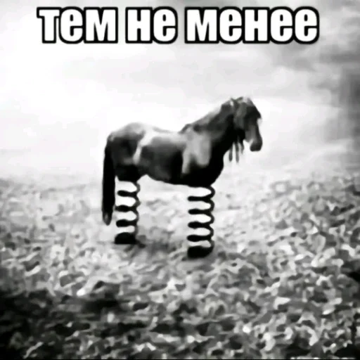 🐎 Стикер «мемасики смехуятина» для Telegram