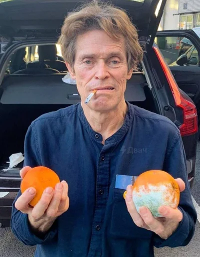 🍊 Стикер «Memes 2022» для Telegram