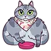 Стикер 26 Memcat