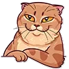 Стикер 8 Memcat
