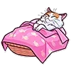 Стикер 23 Memcat