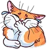 Обложка набора Memcat