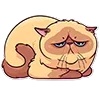 Стикер 19 Memcat