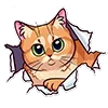 Стикер 24 Memcat