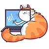 Стикер 5 Memcat
