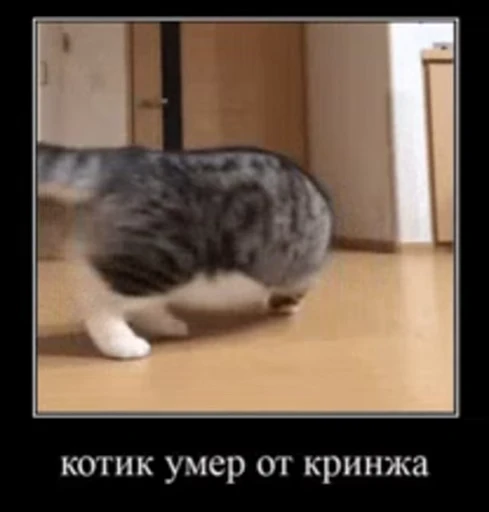 ⚰ Стикер «Кому то плоха» для Telegram