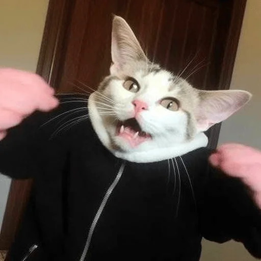 😤 Стикер «Meme bro» для Telegram