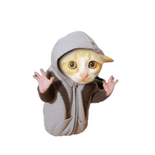 😏 Стикер «Meme bro» для Telegram