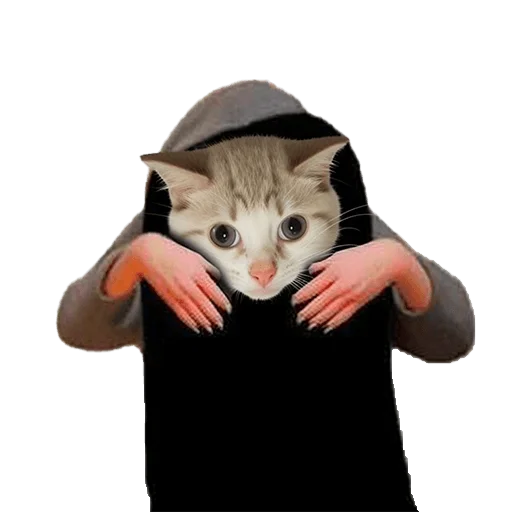 💅 Стикер «Meme bro» для Telegram