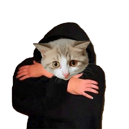 😎 Стикер «Meme bro» для Telegram