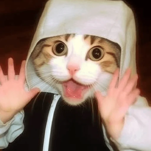😂 Стикер «Meme bro» для Telegram