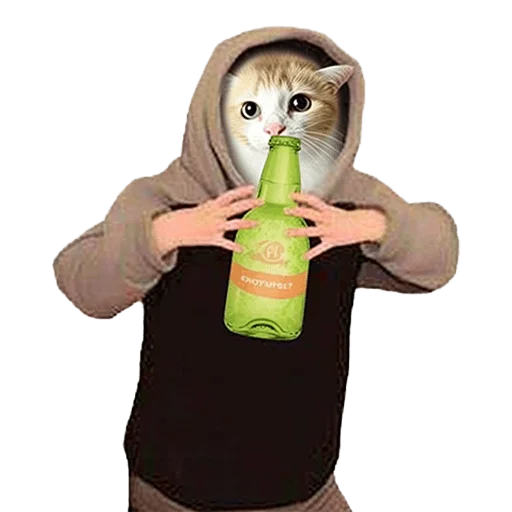 🍻 Стикер «Meme bro» для Telegram