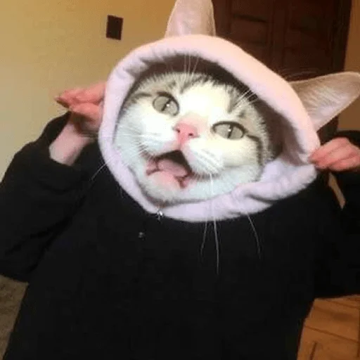 😆 Стикер «Meme bro» для Telegram