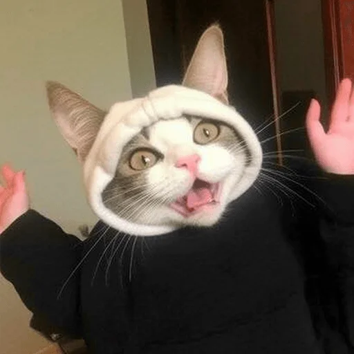 🤩 Стикер «Meme bro» для Telegram