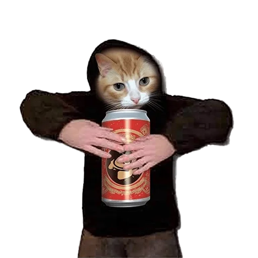 🍺 Стикер «Meme bro» для Telegram