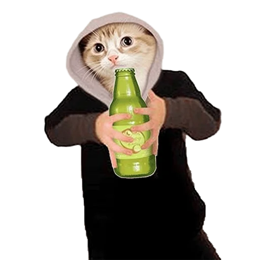 🥂 Стикер «Meme bro» для Telegram